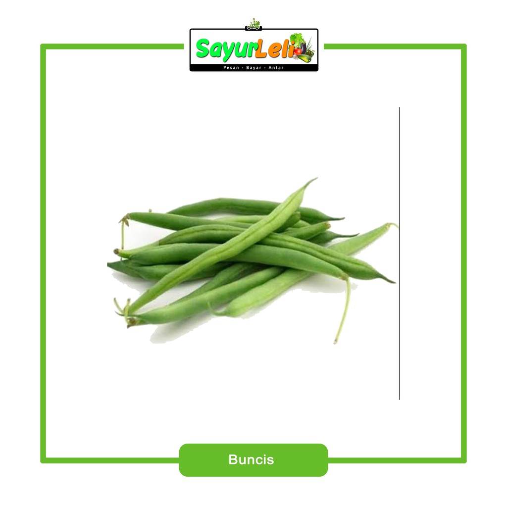

BUNCIS