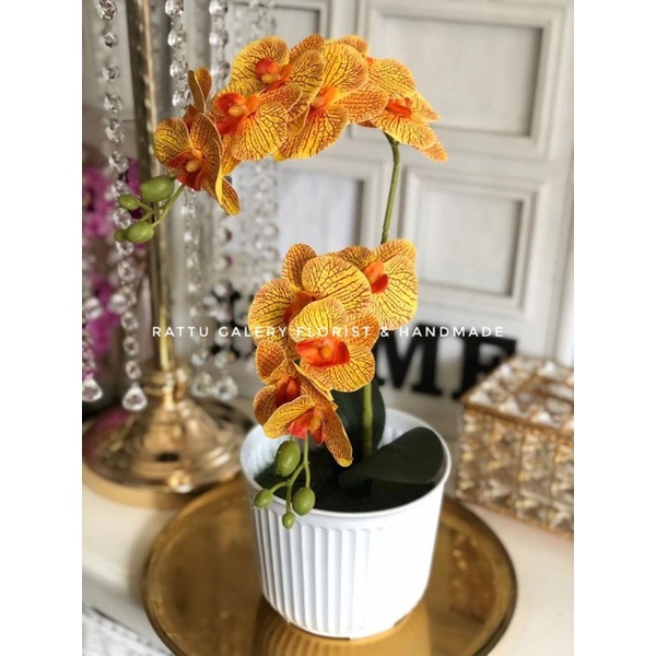 anggrek 2 tangkai , anggrek latex , anggrek palsu , anggrek artifucial , anggrek palsu , anggrek hia