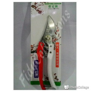 GUNTING DAHAN / RANTING / BONSAI