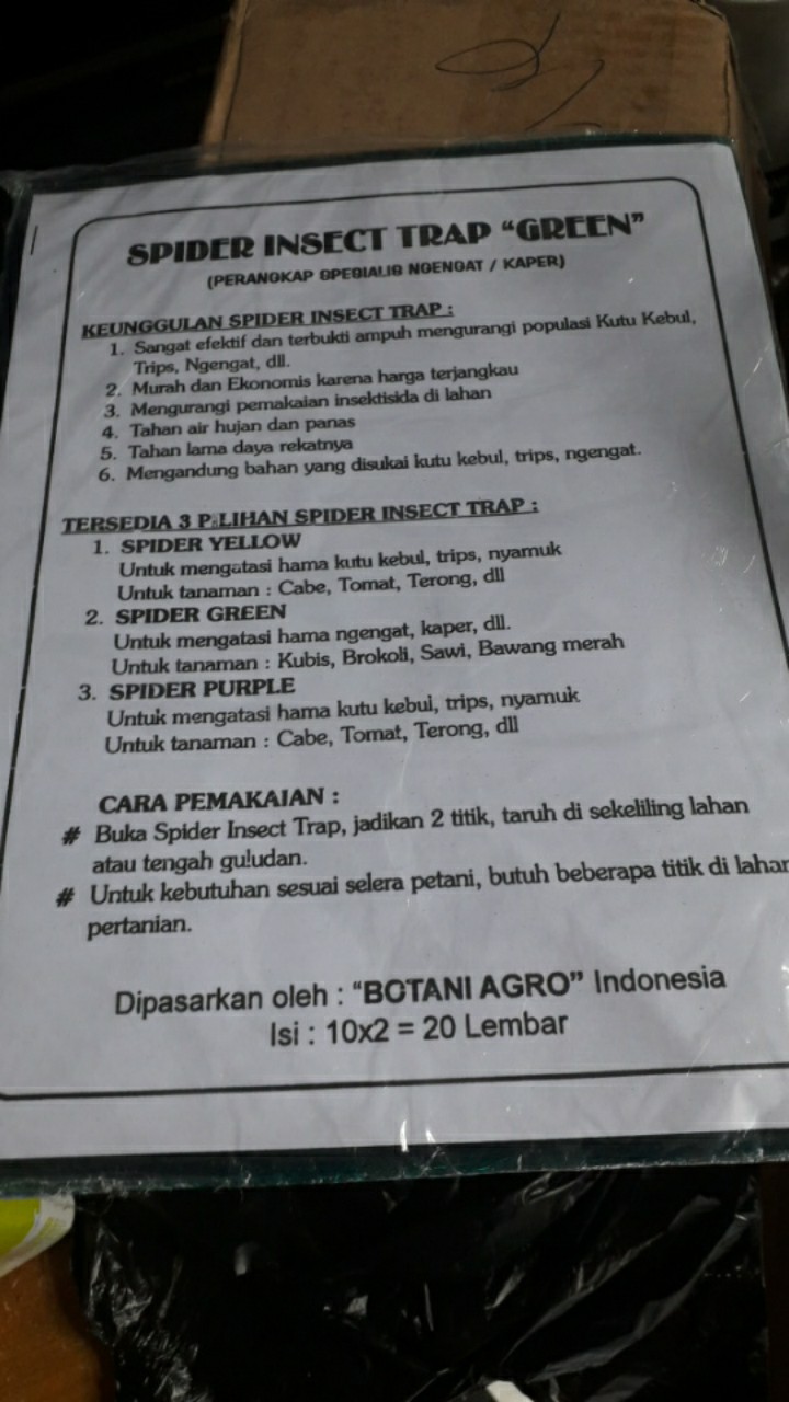 Spider Insect Trap Green Isi 20 Lembar