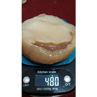 

[PRODUK YAR79] !!! SCOBY ATAU JAMUR DIPO UNTUK MEMBUAT KOMBUCHA RKW