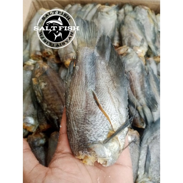 

ikan asin SEPAT SIAM kering fresh; 250 gram