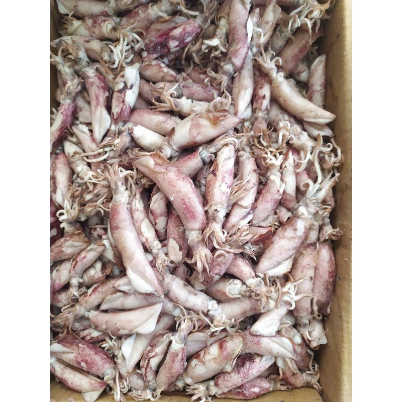 

Cumi Asin rebus/Cumi Asin