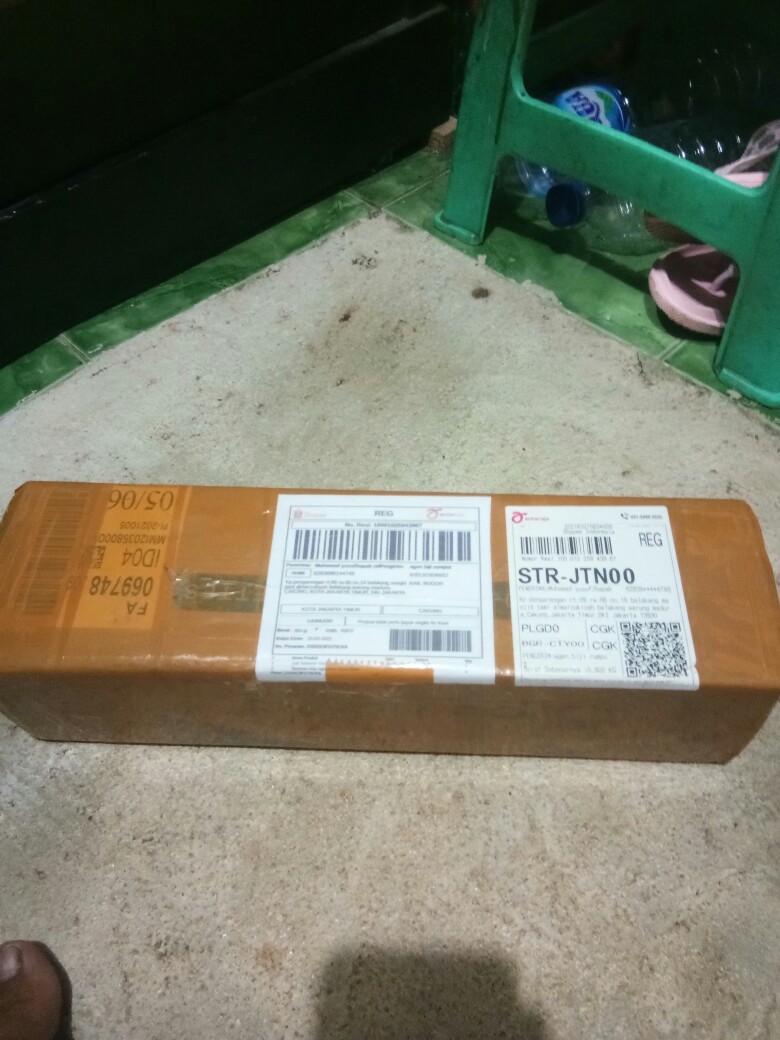 Jual  Tanaman Hias Aglonema Rotudum  _