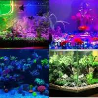 Lampu aquarium SIZE PILIHAN / Lampu led / Lampu celup / Lampu Akuarium / LED CELUP / lampu warna sesuai pilihan / lampu hias