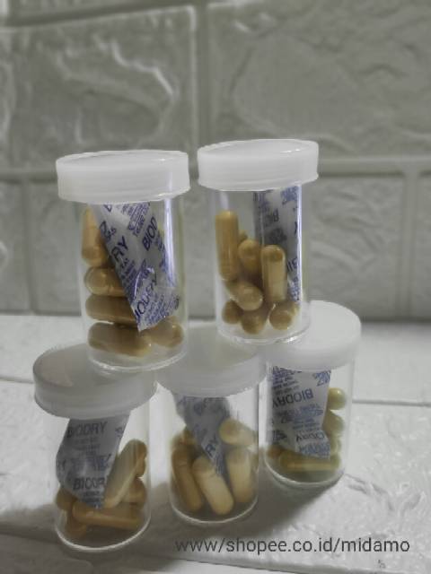 (READY) Fenucaps Plus Pelancar ASI ( ASI BOOSTER) Ecer @10 pcs dan LECICAPS ECER PER capsul 10.000