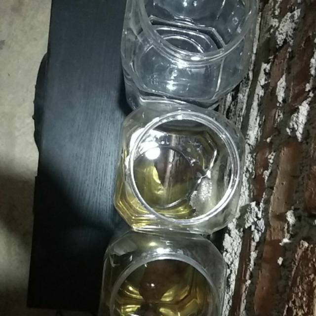 Bahanan Fccp orange head