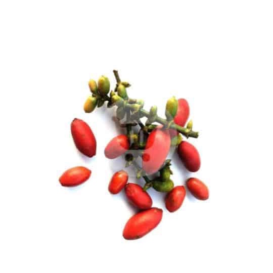 

Buah Melinjo Utuh 250 g