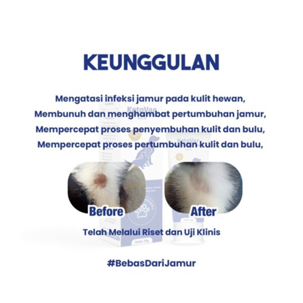 Ketovar Obat Anti Infeksi Basmi Jamur Ringworm Kucing Anjing Kelinci