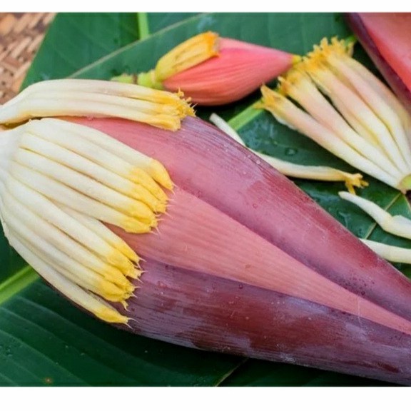 

Sayur jantung Pisang/1Pcs.