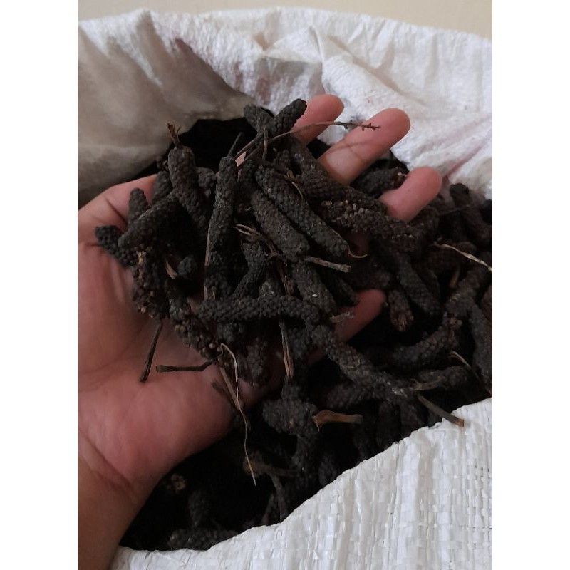 

CABE JAMU | CABE JAWA | CABE PUYANG | CABE KERING