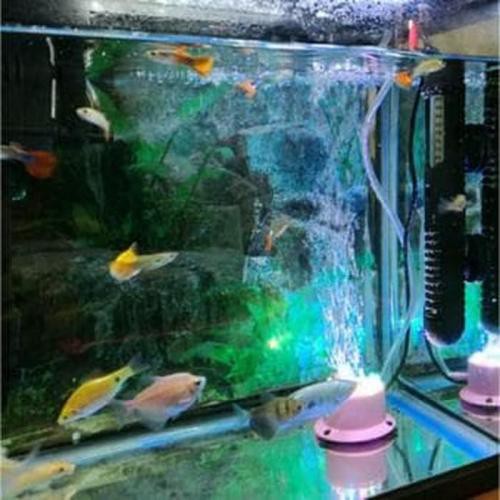 Batu Air Stone LED HORISEA Aerator warna