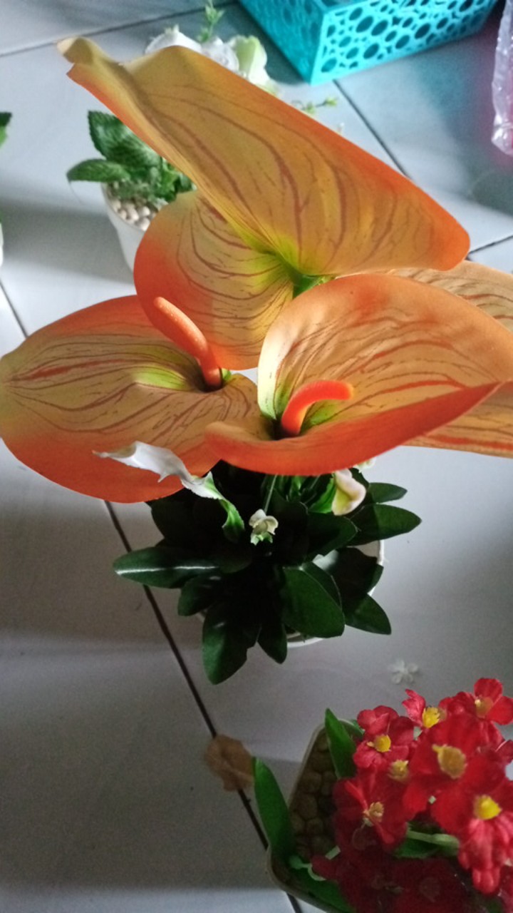 Decor Art  Grosir Artifisial Realistic Home Plants Bunga Meja Terbaru Kualitas Impor - Bs 6