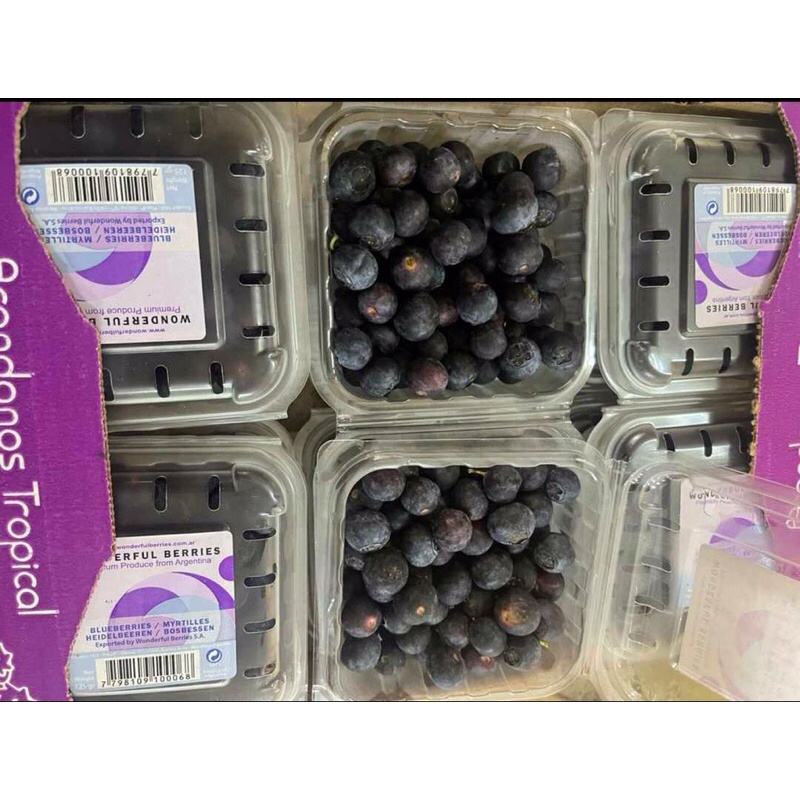 

Blueberry / Buah Blueberries Argentina 1 Dus (12 Pack) Fresh Import