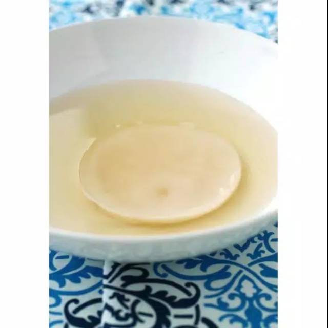 

Jamur Teh Kombucha super / scoby