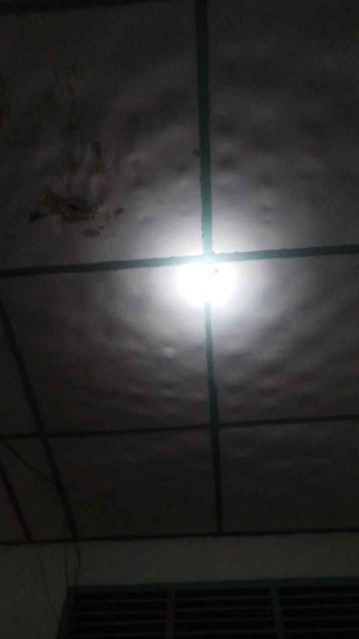 Cetakan Kue Kering Cetakan Kue Semprit Alat Membuat Kue Peralatan Membuat Kue Alat Hias Kue Sh379