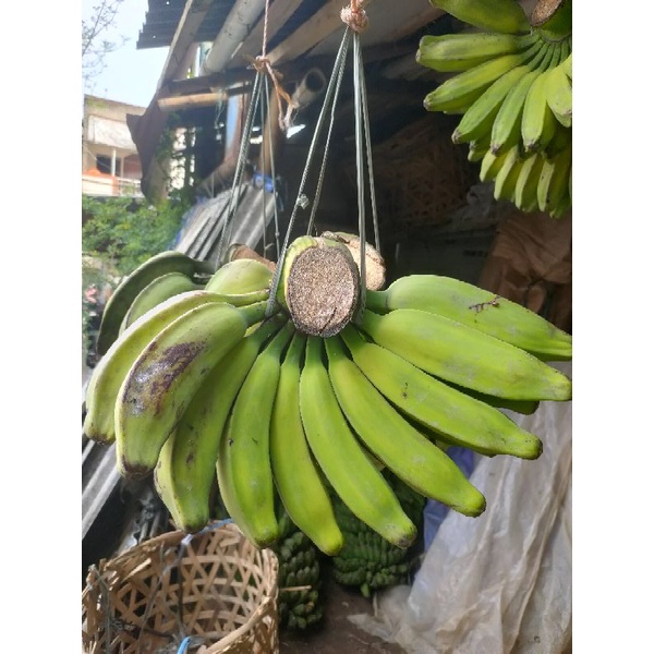 Pisang Kepok Persisir/Perbuah Murah 1 SISIR LEBIH DARI 15 BUAH