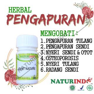 Obat Pengapuran Tulang Sendi Lutut kaki Pinggang Cina Nyeri Sendi Osteoporosis Herbal