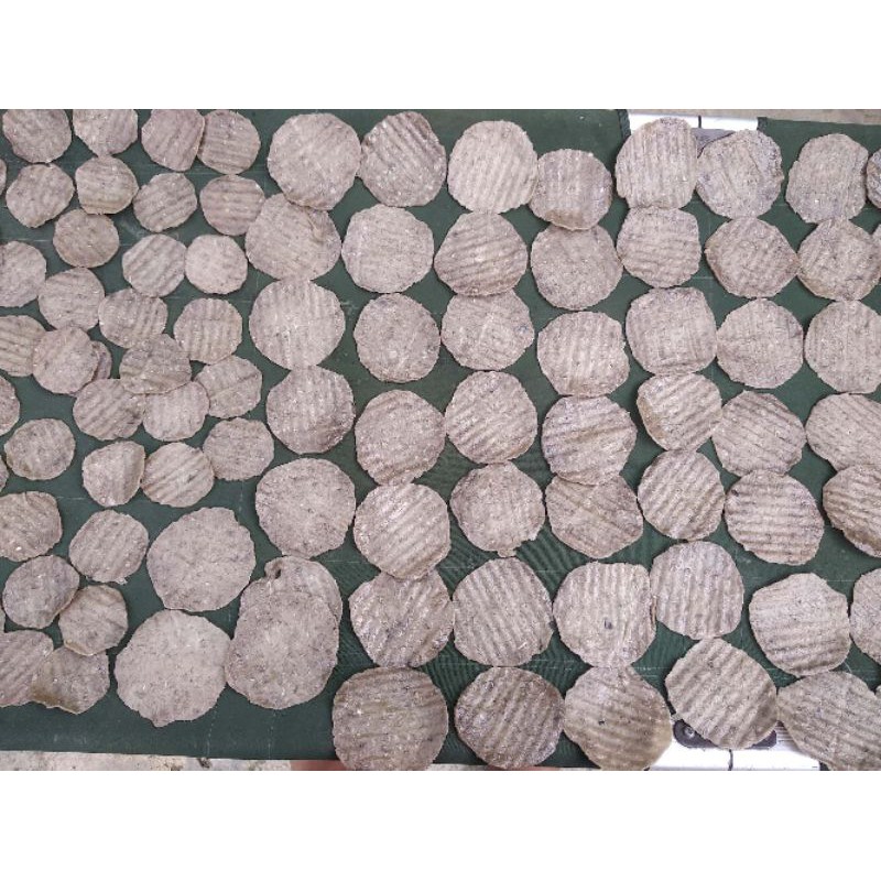 

Kemplang panggang mentah