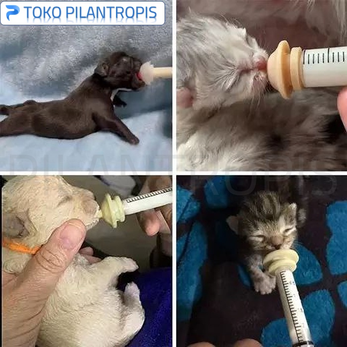 DOT BAYI KUCING BARU LAHIR MIRACLE NIPPLE DOT KITTEN EMPENG SUSU ANAK KUCING ANJING KELINCI MUSANG HAMSTER BURUNG MURAH