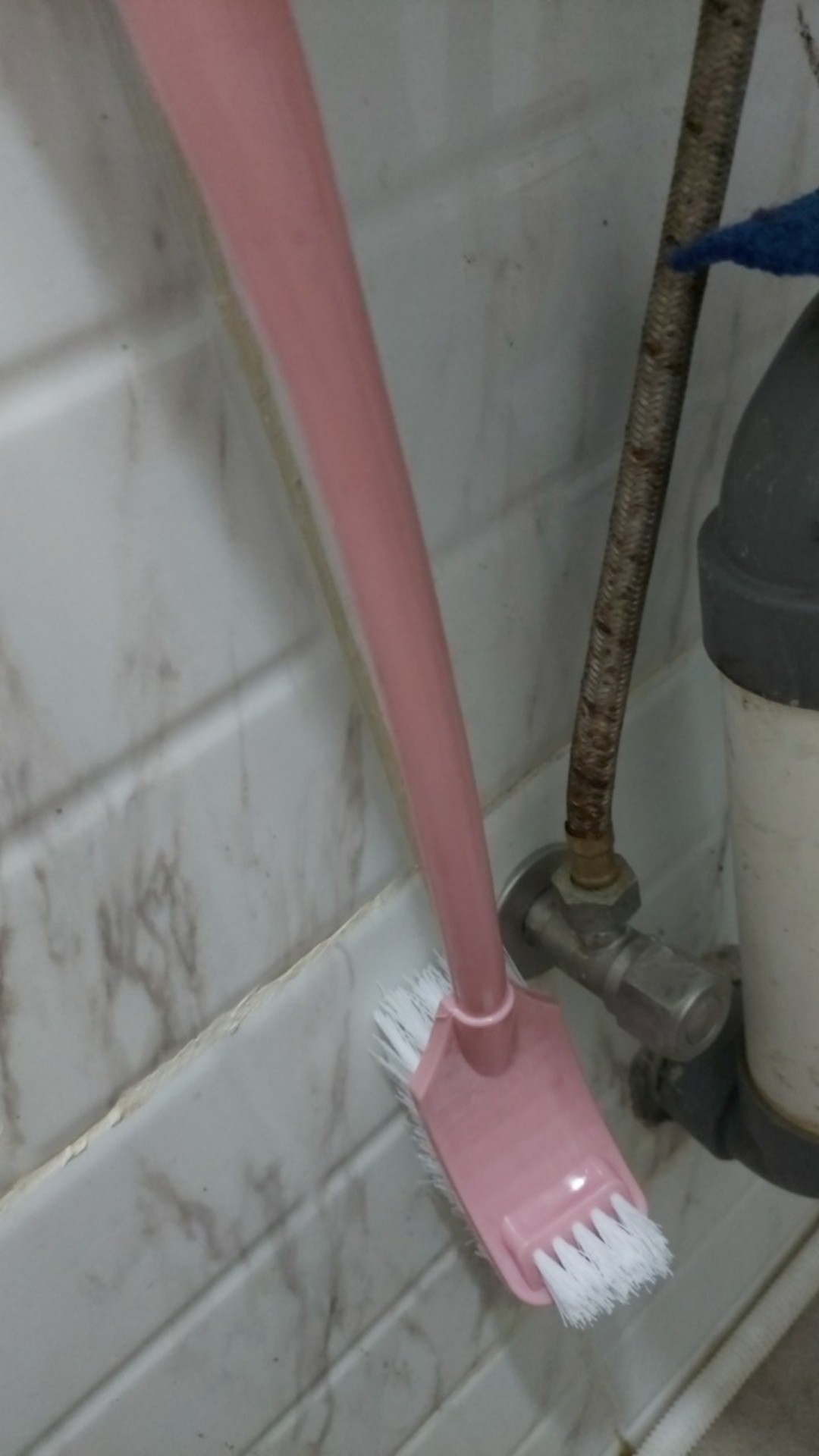 Sikat Pembersih Kloset Toilet Gagang Panjang Warna Pilih Warna