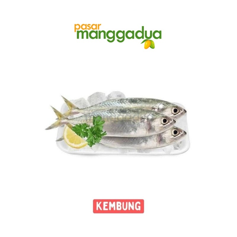 

FRESH !!! Ikan Kembung Per Kg / Ikan Segar