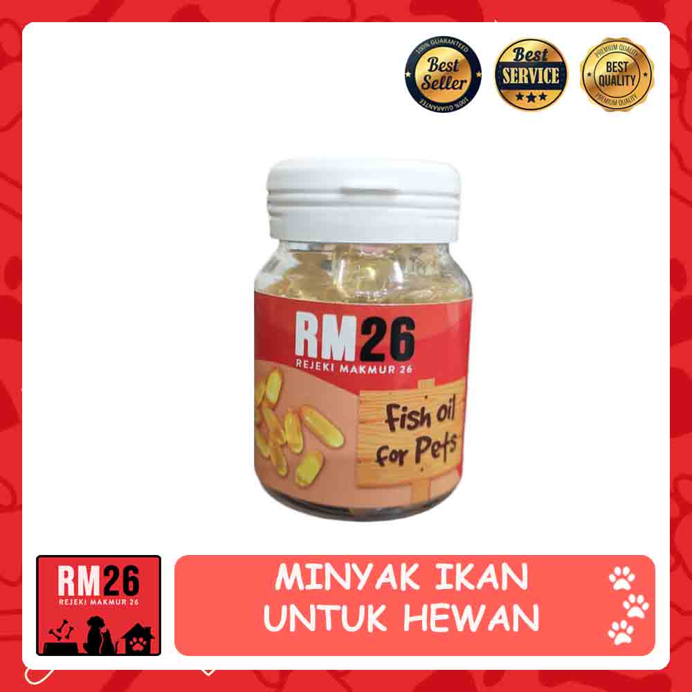 

Minyak Ikan Untuk Hewan