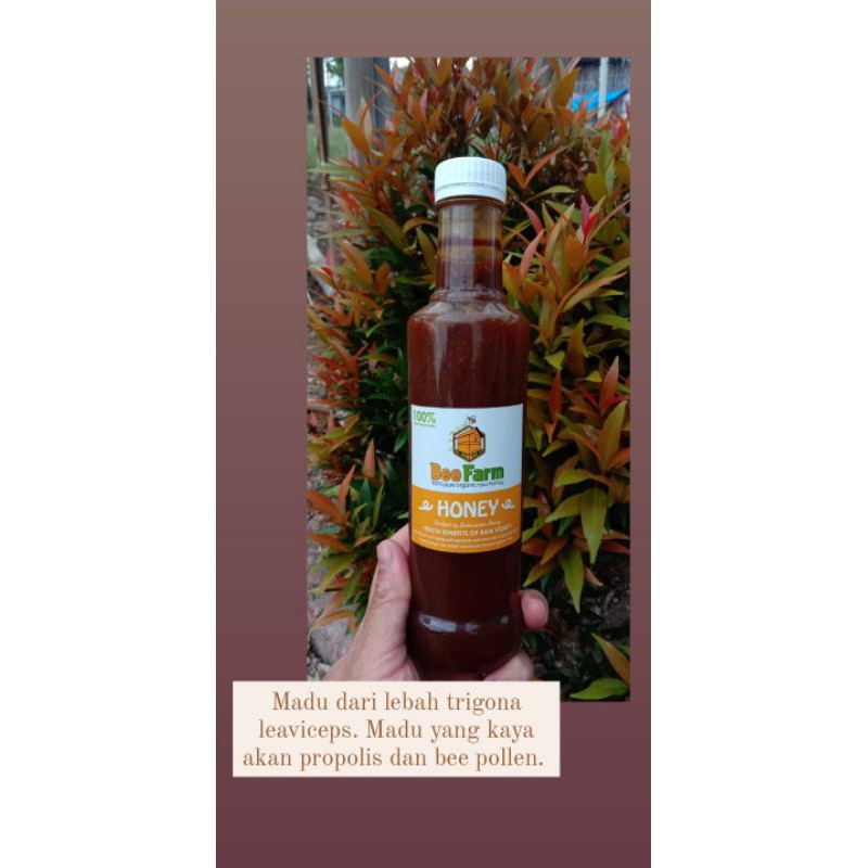 

Madu Murni Bee Farm Jenis Trigona/ Klanceng/ Teuweul 500 gram
