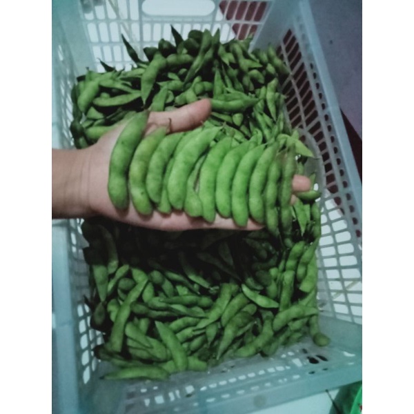 

Edamame organik super 1kg