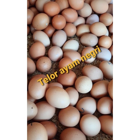 

IO Telor ayam negri grm