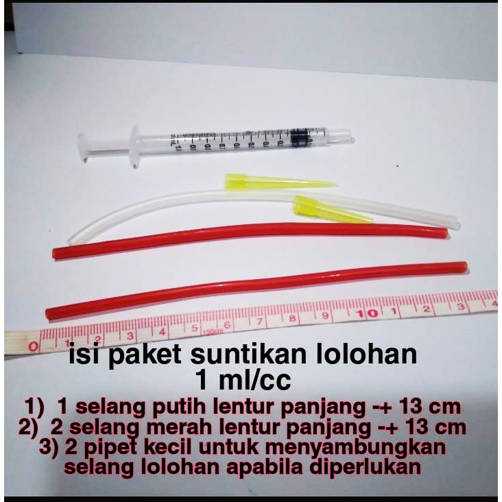 Suntikan Spet Lolohan Makan Anak Lovebird Kucing Musang Kelinci Anjing Marmut Hamster Kura Kura