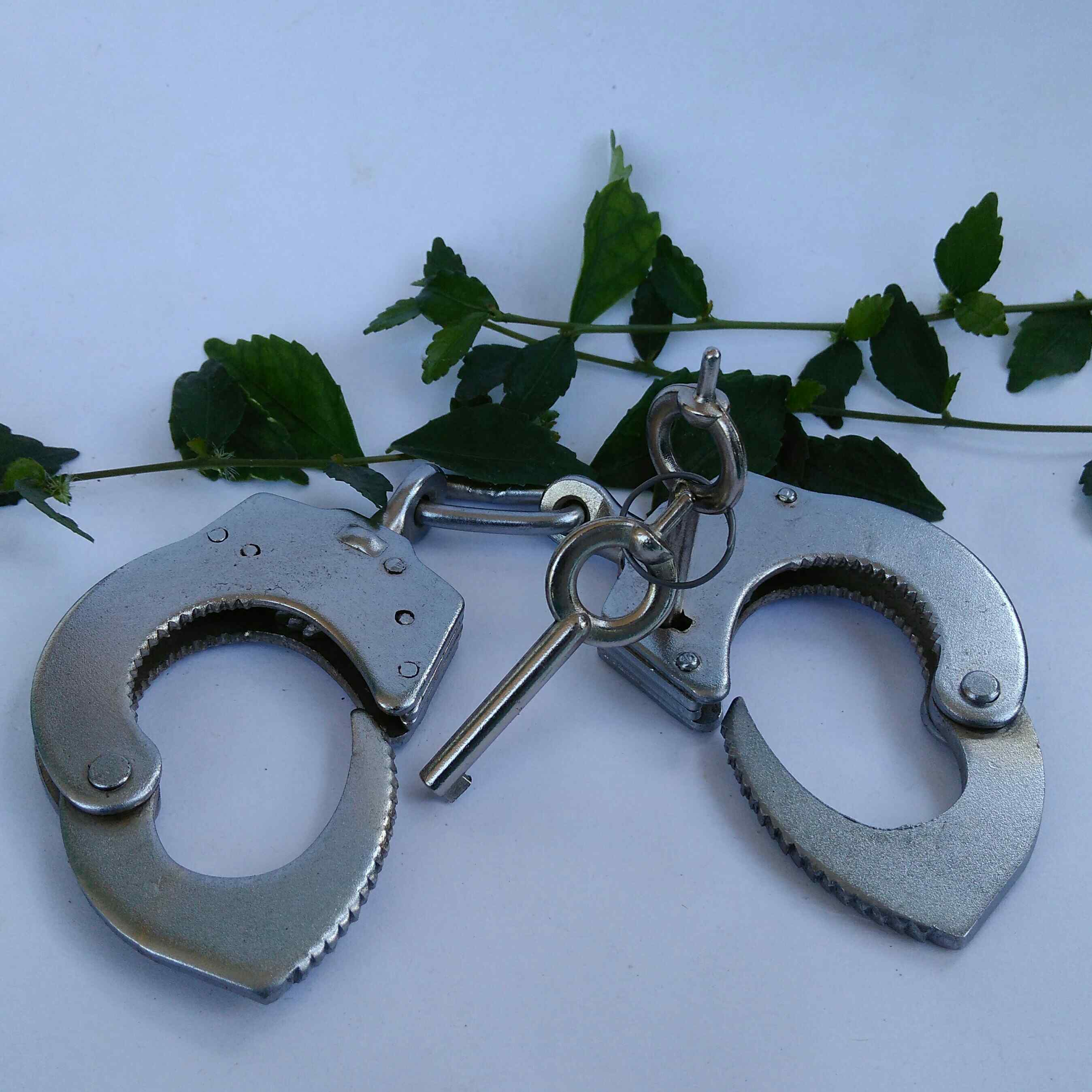 Borgol Jari Bahan Stainless