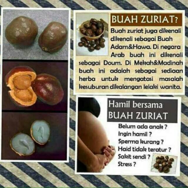 

Buah dpdzuriyat single/biasa 250 gram