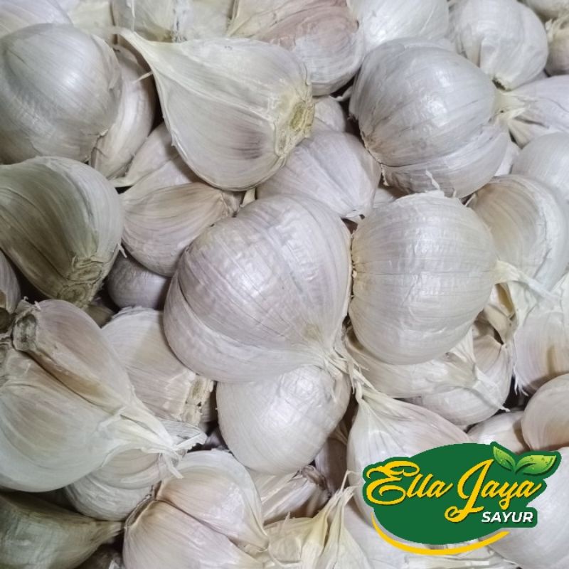 

Bawang Putih kating 500Gram Kwalitas Super Purwokerto