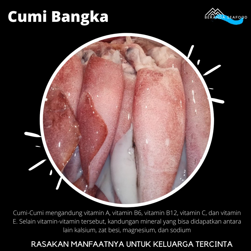 

Cumi Bangka segar (kualitas super premium)