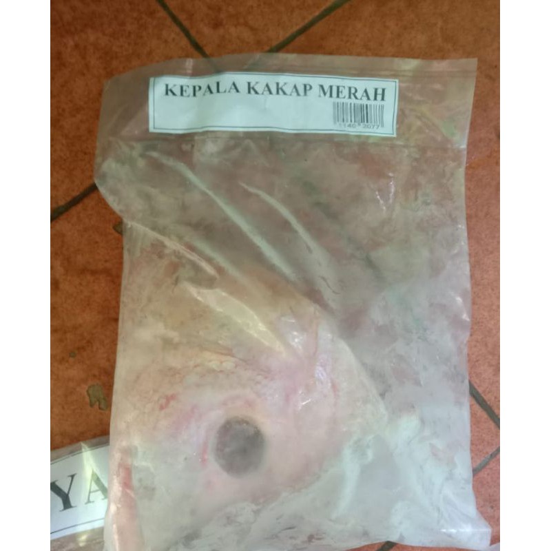 

KEPALA IKAN KAKAP MERAH BEKU