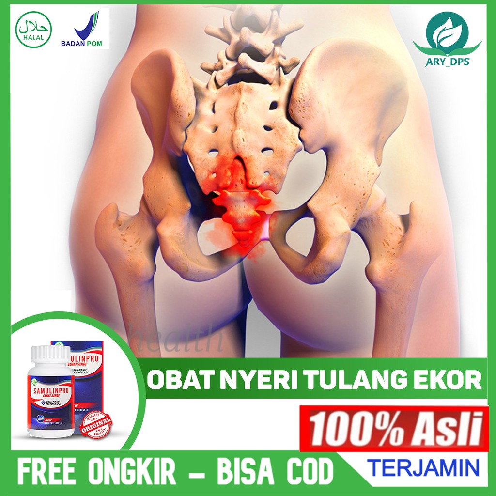 Obat Nyeri Tulang Ekor Tulang Belakang Tulang Punggung Pinggang Herbal Banyak Dicari Samulinpro Shopee Indonesia