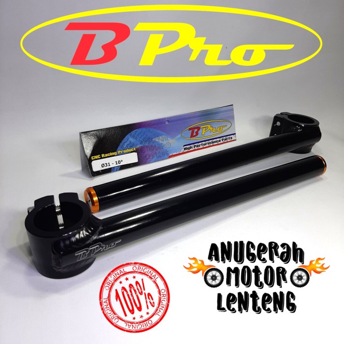 Stang BPro TZ 31 10 Honda CBR 150