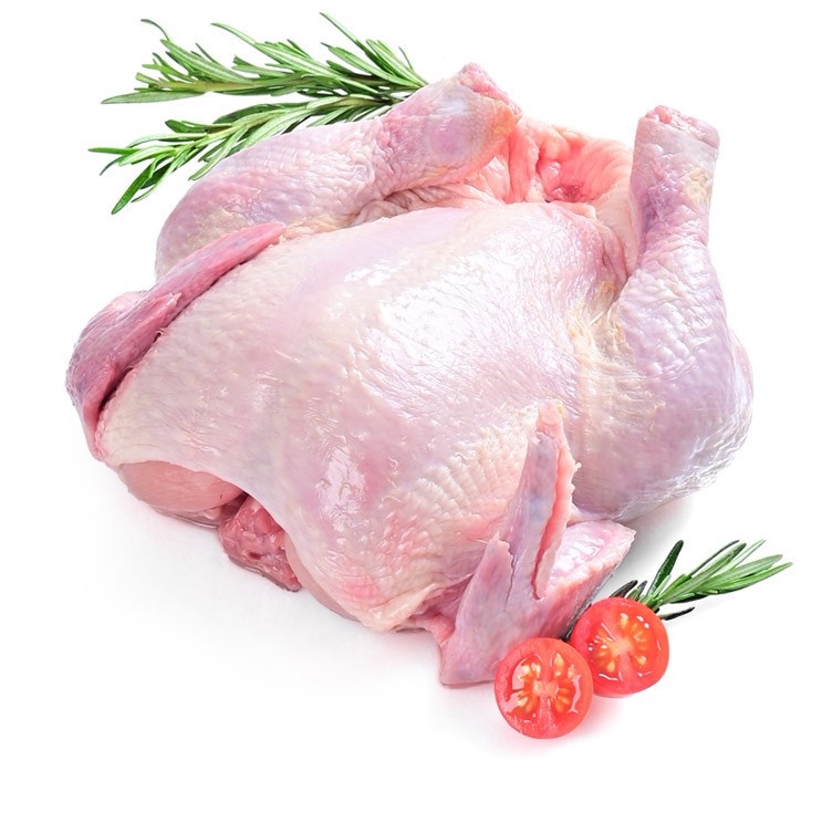 

Ayam Natural Probiotic (FRESH)