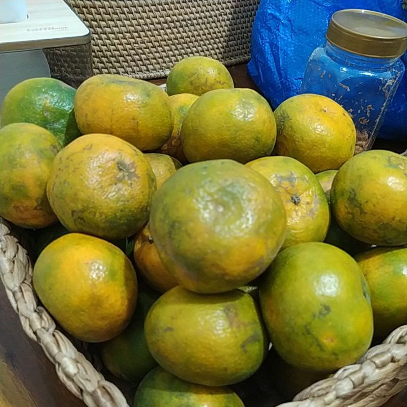 

jeruk madu medan