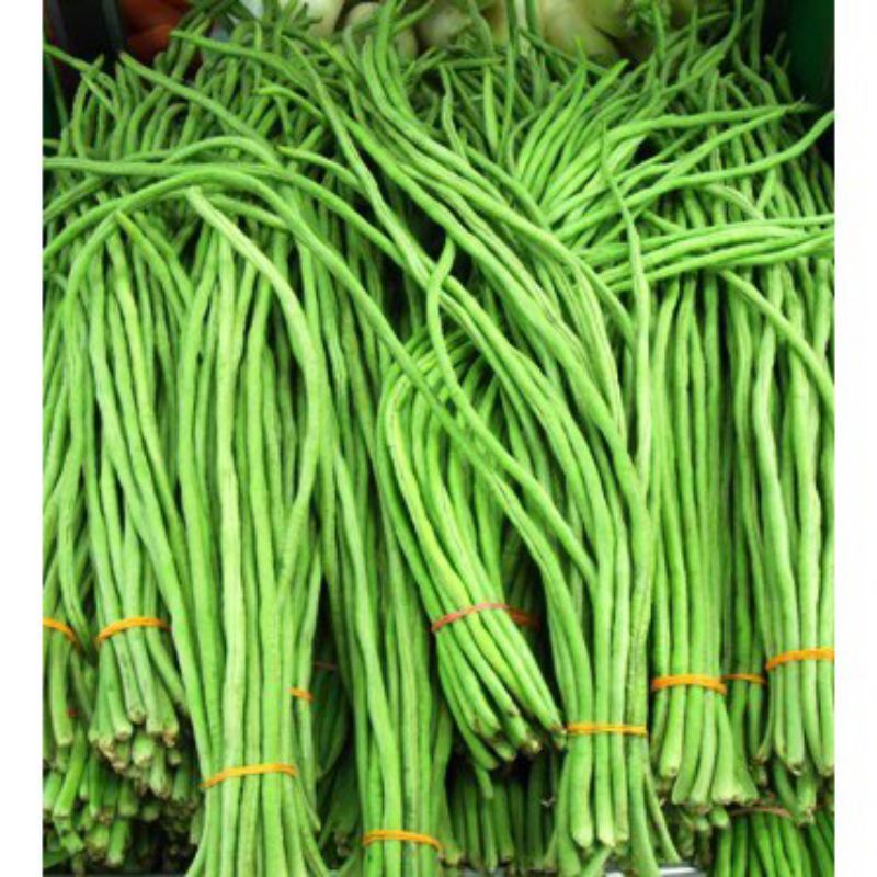 

Sayur Kacang Panjang