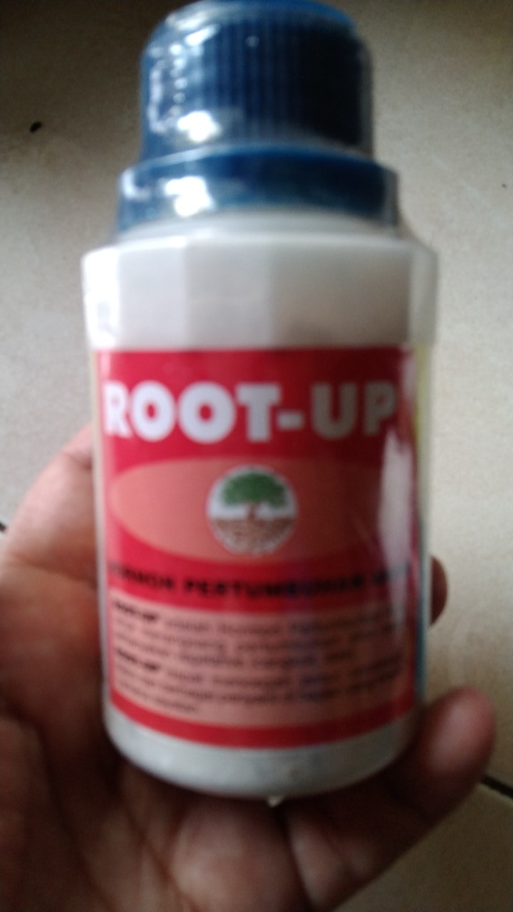 Root Up 100 Gram