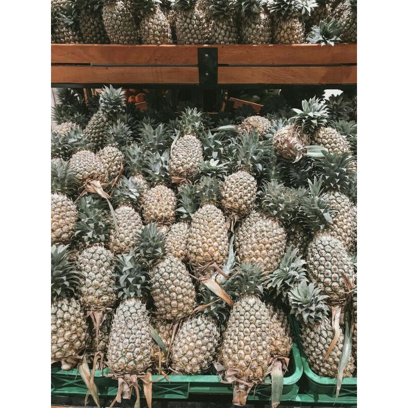 

BUAH NANAS