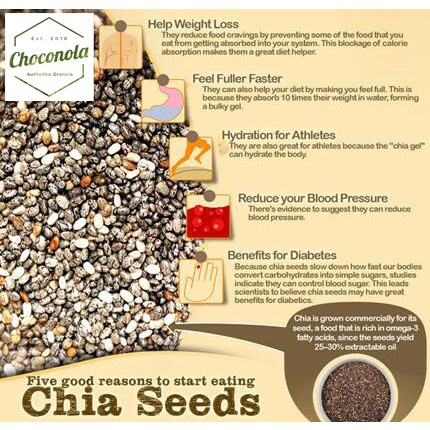 

vd201gf Choconola Organic Black Chia Seed 500G (Chiaseed 500 Gr Gram / 500Gr) Dscscv