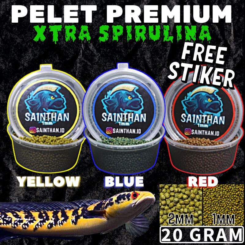 Pelet Premium BLUE, YELLOW, RED 20 Gram Ikan Predator 2mm dan 1mm Untuk ikan Channa, Louhan, Oscar, Arwana, blue pulchra, ys, auranti