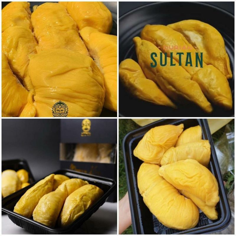 

durian musang king