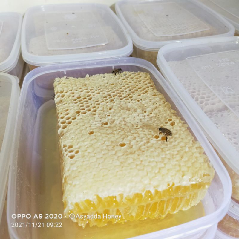 

Grosir Madu Sarang Asli 500 gr Raw Honey