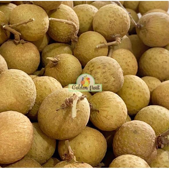 

GOLDENFRUIT_LENGKENG BANGKOK