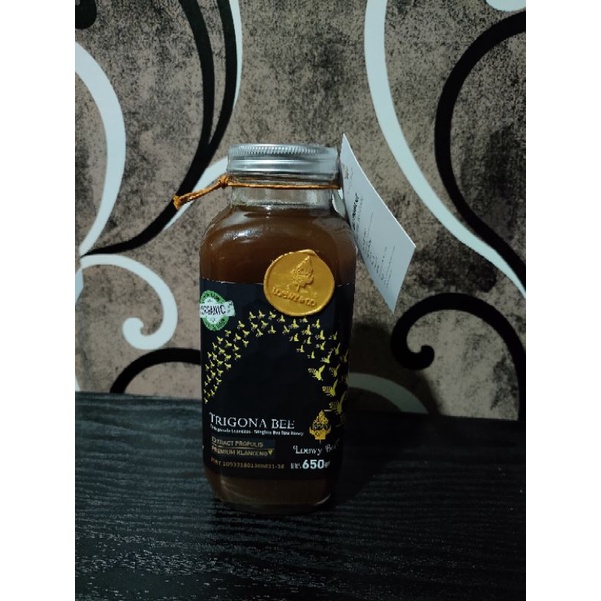 

Madu Kesehatan (Madu Mentah/Raw Honey) Wild Trigona 100% Original