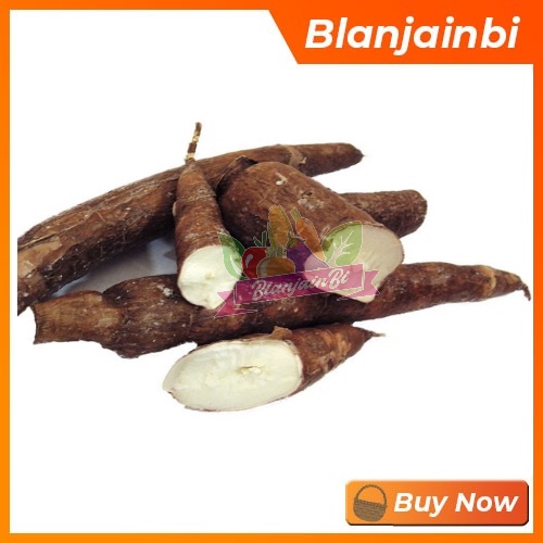 

Singkong Bandung Area